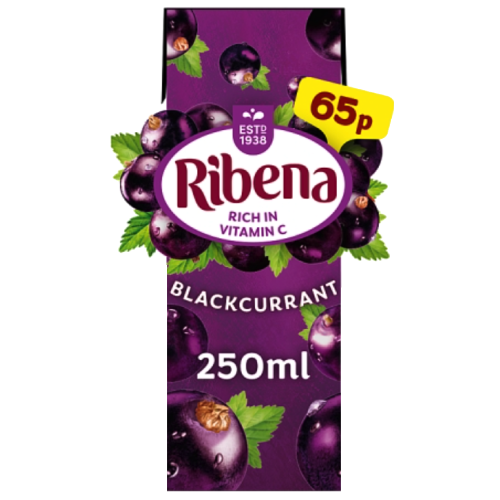 RIBENA BLACKCURRANT  (CARTON) - 250ML