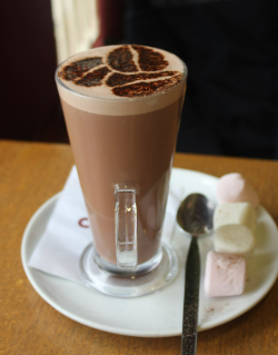 Costa Regular Hot Chocolate