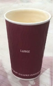 Costa Large Latte
