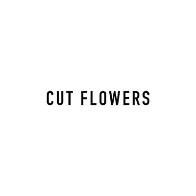 CUT FLOWERS