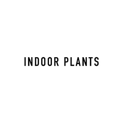 INDOOR PLANTS