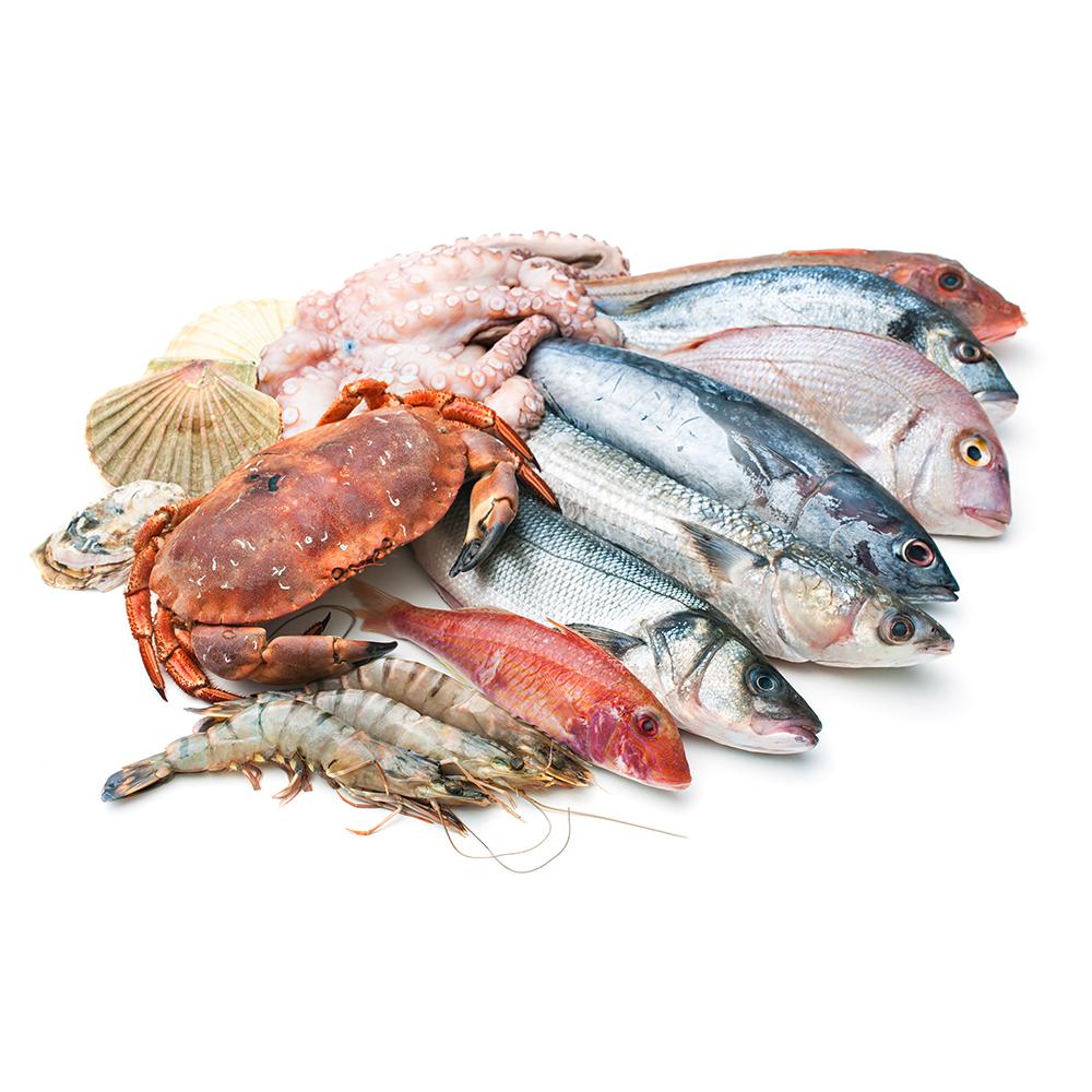 FISHMONGER COUNTER - Alli Bhavan