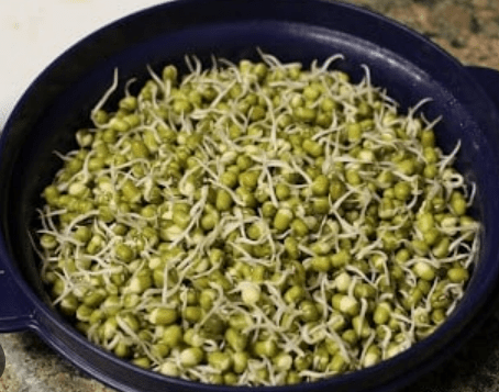 Agas Moong Sprout - 200g - AGAS FOODS
