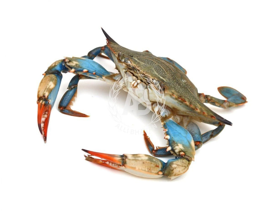 Alive Crab - ALLI BHAVAN