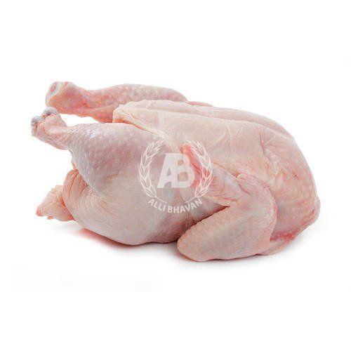 Baby Chicken - Each - Branded