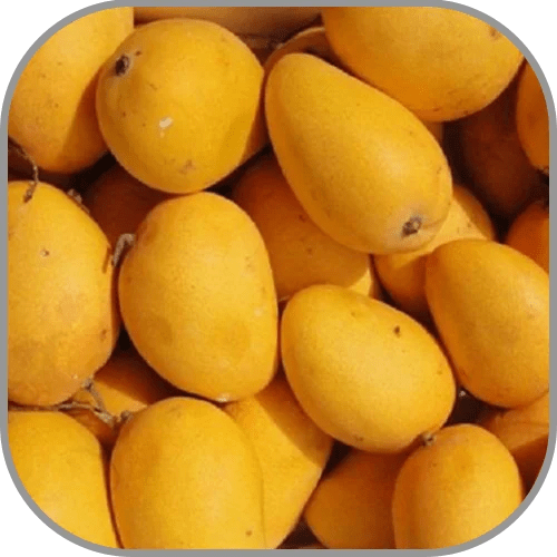 BANGANAPALLE MANGO MEDIUM BOX - EACH - Branded