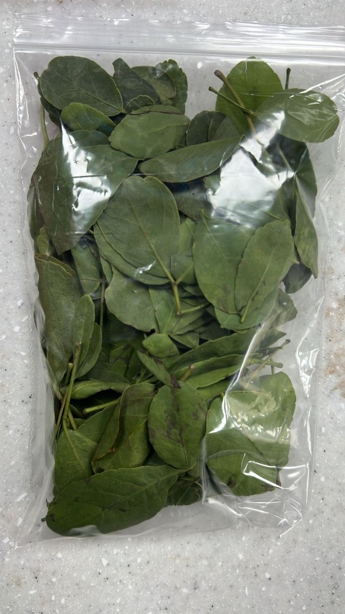 BEL PATRA ( VILVAM LEAVES) - 1 PACK (50G) - Branded