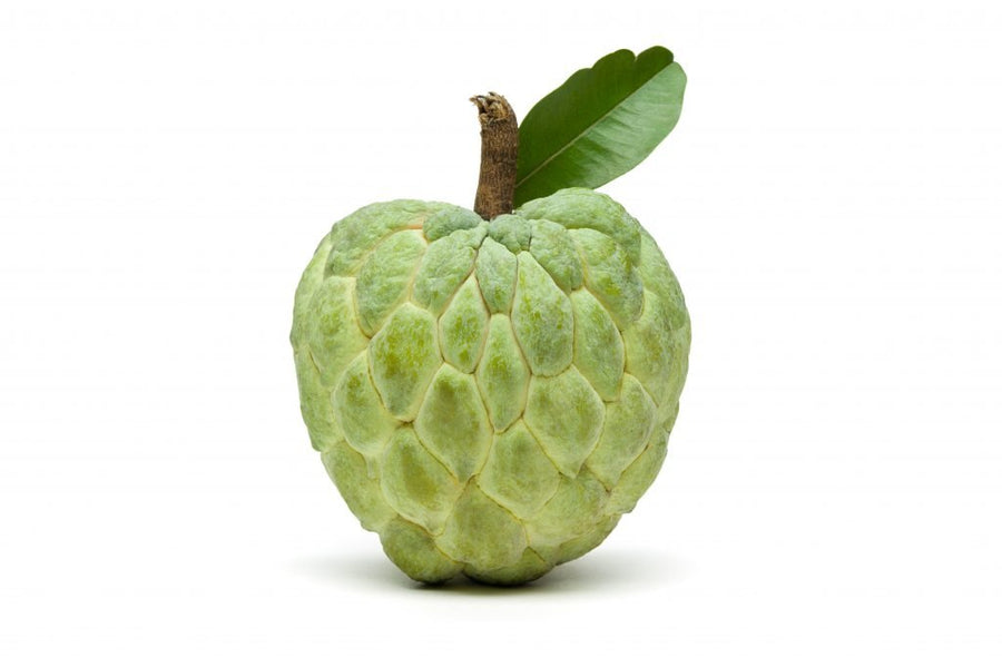 BIG CUSTARD APPLE (EGYPTIAN) - ALLI BHAVAN