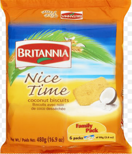 BRITANNIA - NICE TIME COCONUT BISCUITS - 480G - BRITANNIA