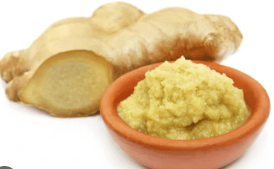 CAMEL GINGER PASTE - 1KG - CAMEL