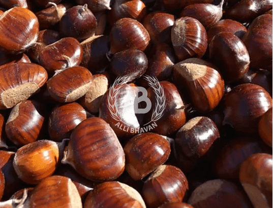 CHESTNUTS - Branded