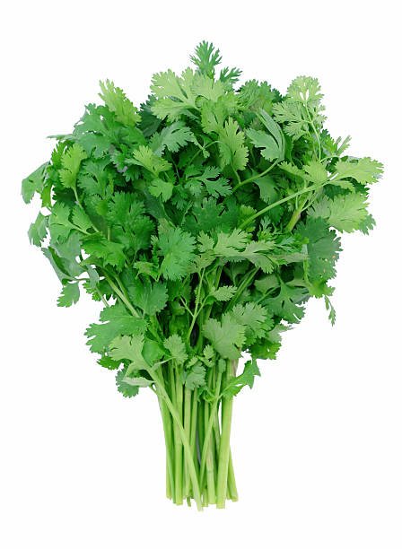 CORIANDER BUNCH EACH (APPROX. 150G - 250G) - ALLI BHAVAN