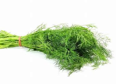 DILL BUNCH EACH (APPROX. 150G - 250G) - ALLI BHAVAN