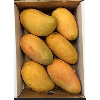 DOMINICAN MANGO - 1BOX - ALLI BHAVAN