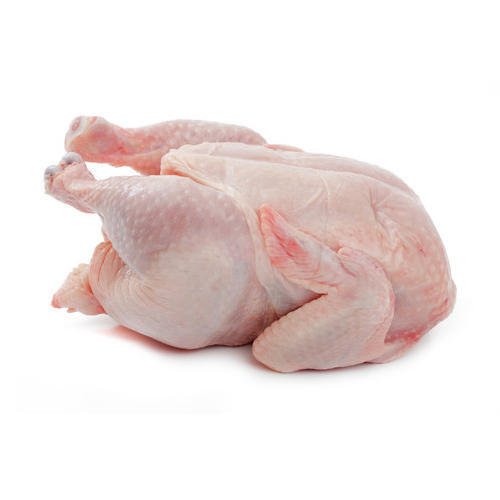 FRESH HALAL BABY CHICKEN - AL - YASIN HALAL MEAT