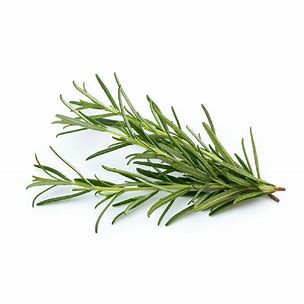 FRESH ROSEMARY PRE PACK - 50G - ALLI BHAVAN