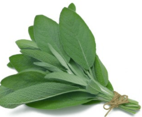 FRESH SAGE PRE PACK EACH - 50G - Branded