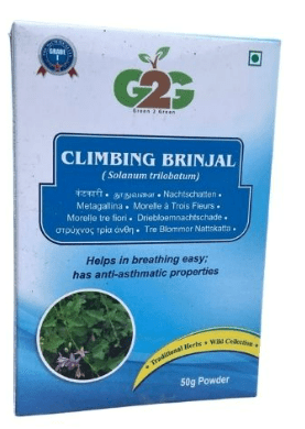 G2G CLIMBING BRINJAL 50G - Branded