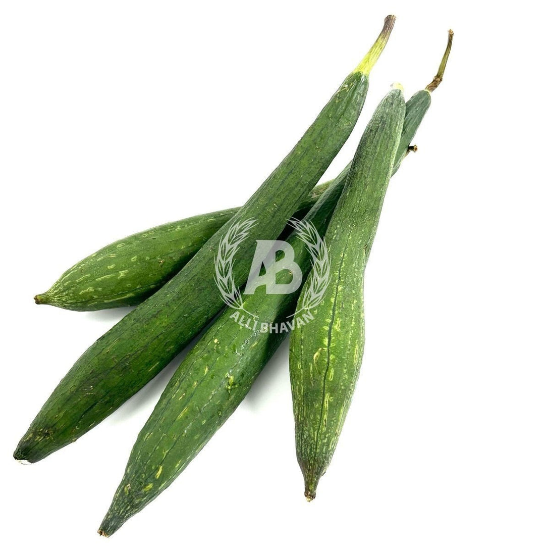 Galka Indian Turia - Branded