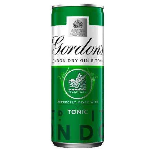 GORDONS LONDON DRY GIN & TONIC RTD PREMIX CAN - 250ML - GORDONS