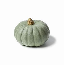 GREY PUMPKIN PER KG - ALLI BHAVAN