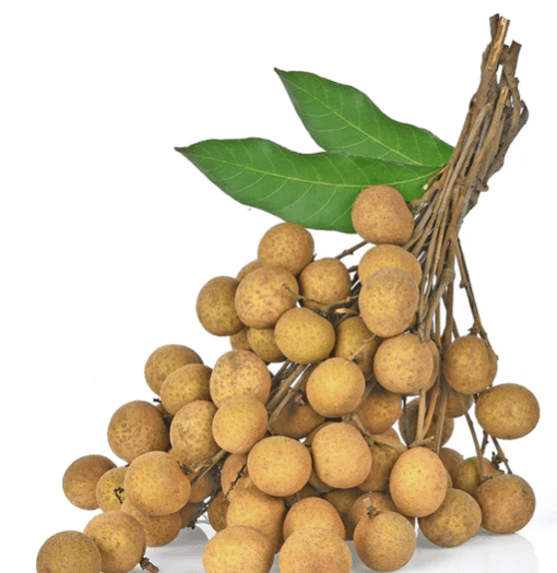 KINGOO/DIMOCARPUS/SUPER FRUTA FRESH LONGAN PRE PACK - 1KG - Branded