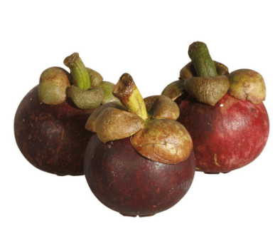 MANGOSTEEN - ALLI BHAVAN