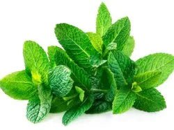 MINT LEAVES BUNCH EACH ( APPROX. 200G - 300G) - ALLI BHAVAN