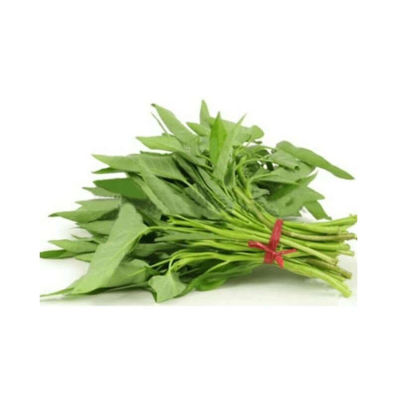 MORNING GLORY PRE PACKED (THAI) - 200G - ALLI BHAVAN