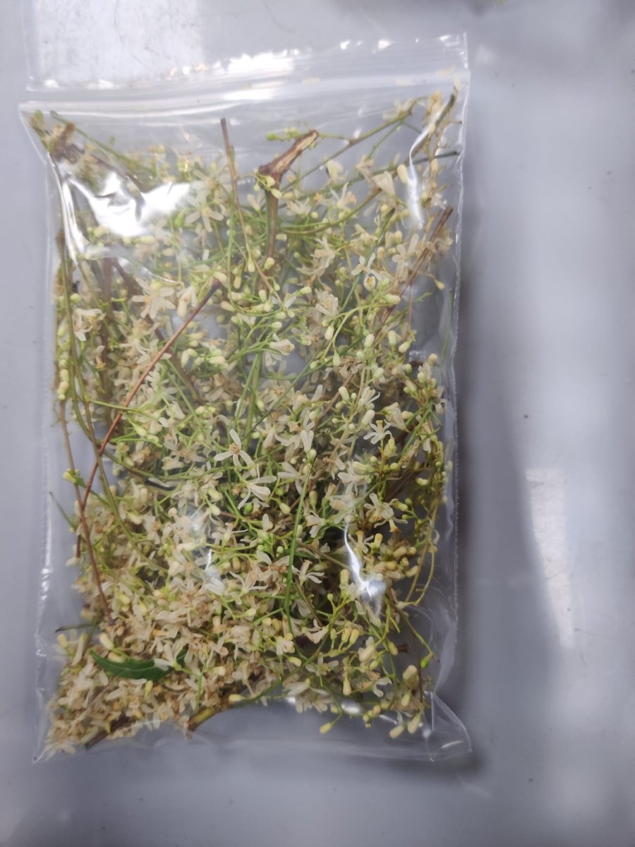 NEEM FLOWER - 20G (APPROX) - Branded