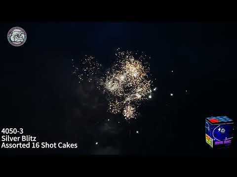 4050 Assorted 16 Shot Cakes