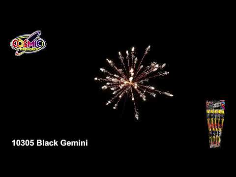 10305 Black Gemini
