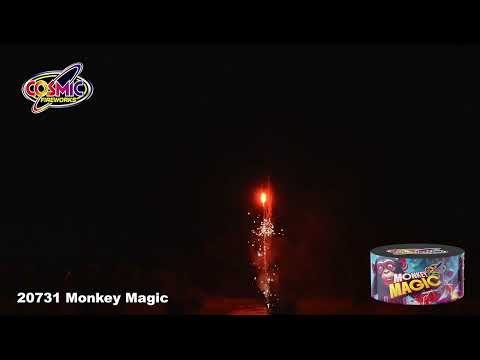 20731 Monkey Magic