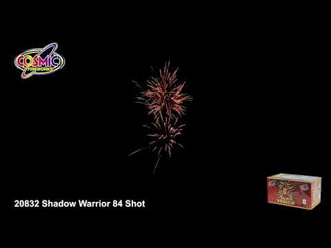 20832 Shadow Warrior 84 Shot