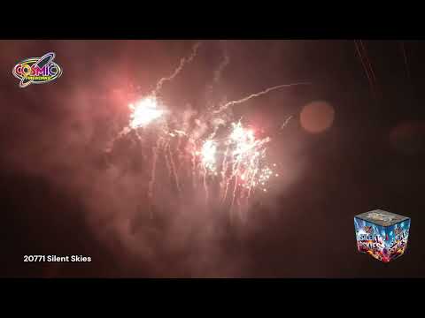 20771 Silent Skies