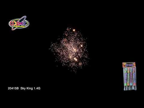 20415 Sky King