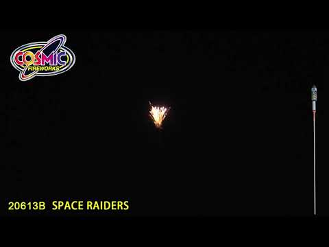 20613 Space Raiders