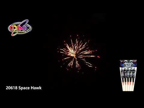 20618 Space Hawk