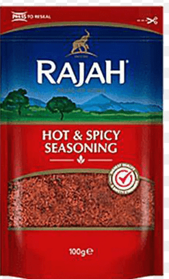 RAJAH HOT & SPICY SEASONING - 100G - RAJAH