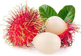 RAMBUTAN - ALLI BHAVAN