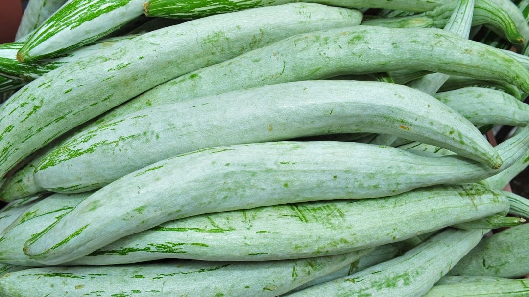 SNAKE GOURD (PUDALANGAI) - ALLI BHAVAN