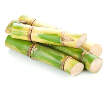 SUGARCANE - ALLI BHAVAN