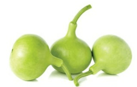 SURAKKAI (ROUND BOTTLE GOURD) - ALLI BHAVAN