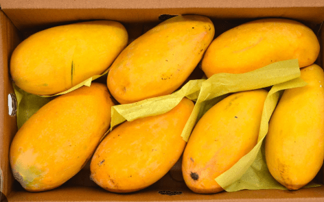 SWEET HONEY MANGO - Branded