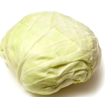 TURKISH CABBAGE - Branded