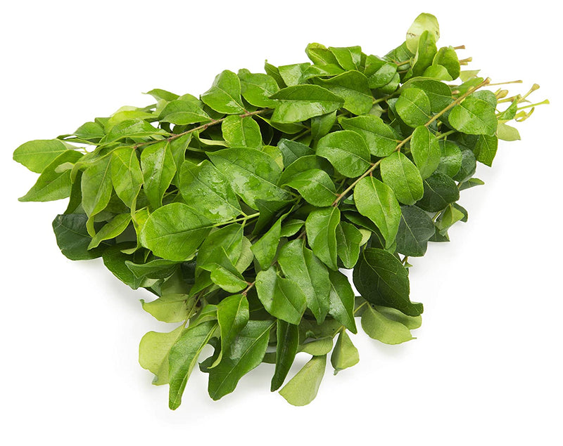 CURRY LEAVES BUNCH