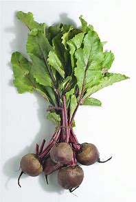 BEETROOT BUNCH WITH LEAVES