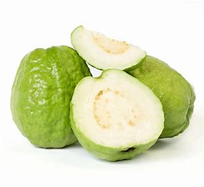 INDIAN GUAVA