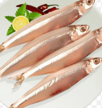 GOLDFISH ANCHOVY SMALL - 1KG