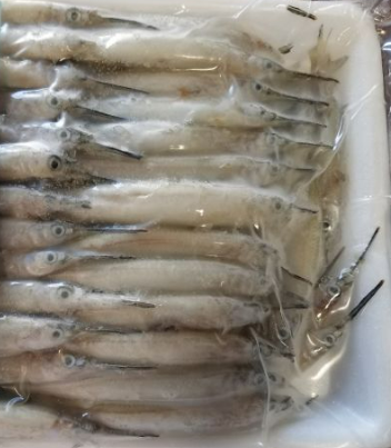 MR KING NEEDLE FISH FAMILY PACK WITH HEAD- 800G